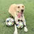 MCBOSON Ballon de football pour chiens interactif 18 cm