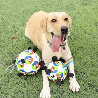 MCBOSON Ballon de football pour chiens interactif 18 cm