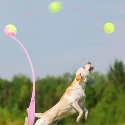 MCBOSON Outil de lancer pour animaux de compagnie Rose