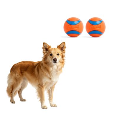 MCBOSON Taille moyenne lot de 2 toutes races ultra balls jouet chien