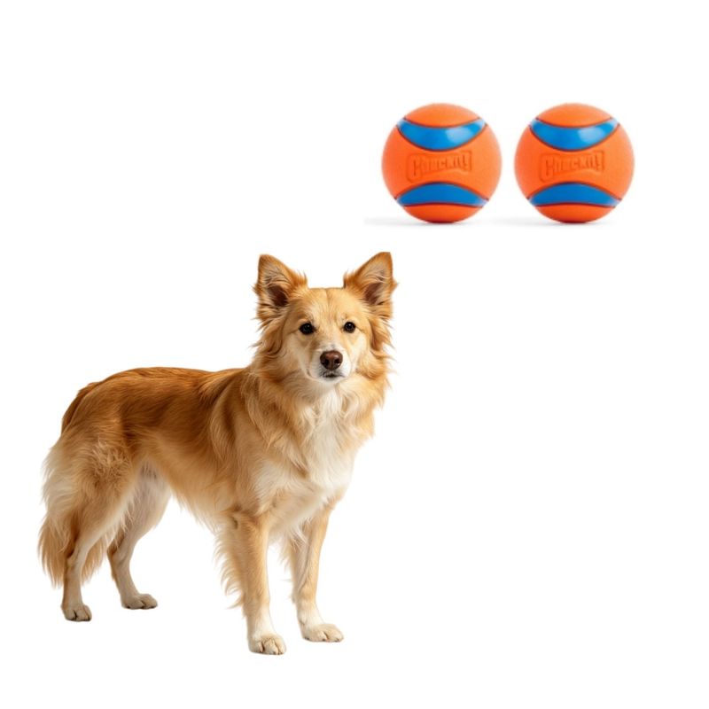 Ultra Balls, mittlere Größe, 2er-Set, für alle Hunderassen