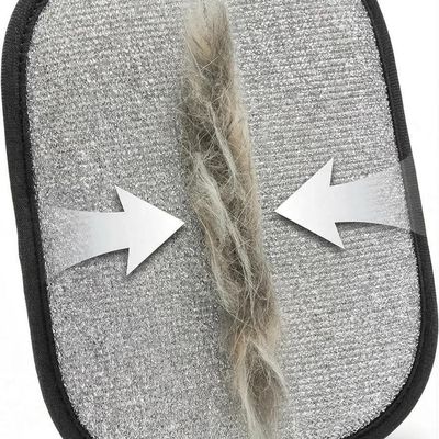 Kit 2-en-1 Gant Anti-Poil + Raclette – Pour Chats & Chiens