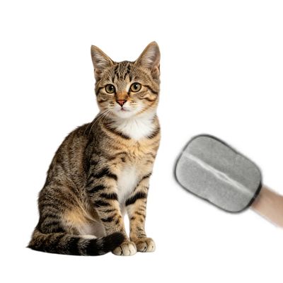 MCBOSON 2-en-1 gant anti-poil raclette chat chien