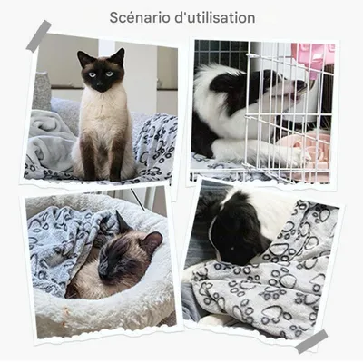 FurryFusion Couverture en flanelle pour animaux de compagnie