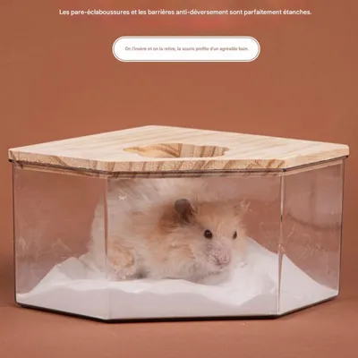 FurryFusion Cabine de bain pour hamster