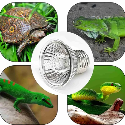 FurryFusion Ampoule de chauffage pour reptiles FurryFusion Ampoule de chauffage pour reptiles