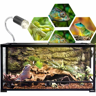 FurryFusion Ampoule de chauffage pour reptiles FurryFusion Ampoule de chauffage pour reptiles