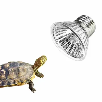 FurryFusion Ampoule de chauffage pour reptiles FurryFusion Ampoule de chauffage pour reptiles