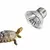 FurryFusion Ampoule de chauffage pour reptiles FurryFusion Ampoule de chauffage pour reptiles