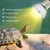 FurryFusion Ampoule de chauffage pour reptiles FurryFusion Ampoule de chauffage pour reptiles
