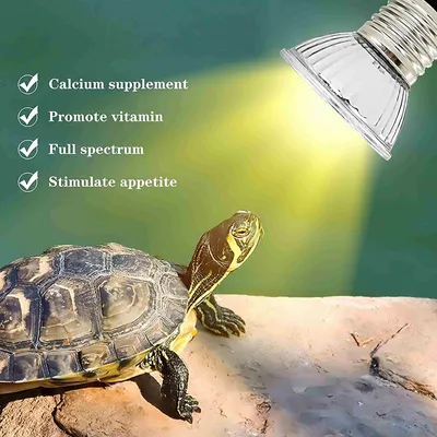 FurryFusion Ampoule de chauffage pour reptiles FurryFusion Ampoule de chauffage pour reptiles