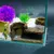 FurryFusion Grotte pour aquarium FurryFusion Grotte pour aquarium