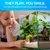 FurryFusion Grotte pour aquarium FurryFusion Grotte pour aquarium