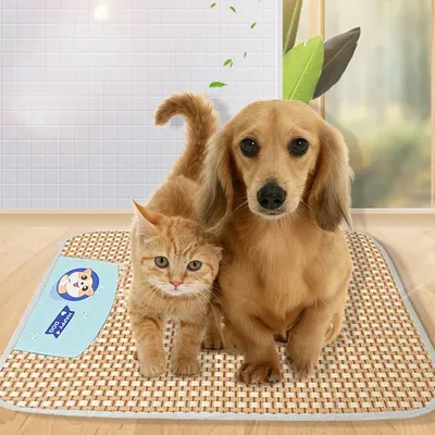 MCBOSON Tapis Refroidissant Rotin Pliable pour Chiens