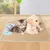 MCBOSON Tapis Refroidissant Rotin Pliable pour Chiens