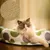 MCBOSON Lit rond en rotin pour chiens et chats 50 cm