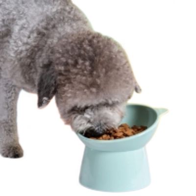 MCBOSON Inclinée surélevée anti-vomissement gamelle chat