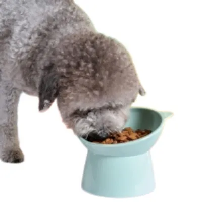 MCBOSON Gamelle surélevée et inclinée anti-vomissement pour chat
