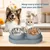 Gamelle double inox pour chat anti-glouton 1L
