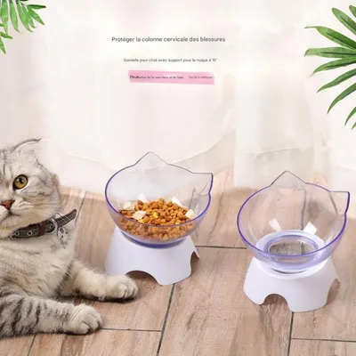 FurryFusion Double bol pour chat en plastique transparent
