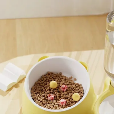 FurryFusion Bol d'eau et de nourriture intégré pour chats et chiens