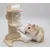 FurryFusion Bouteille hamster à roulements à billes, support en bois inclus