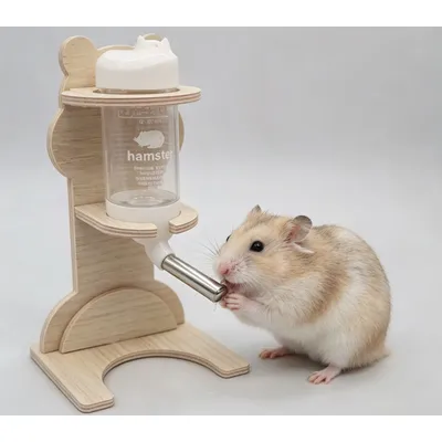 FurryFusion Bouteille hamster à roulements à billes, support en bois inclus