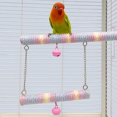 FurryFusion Perchoir en corde pour perroquet
