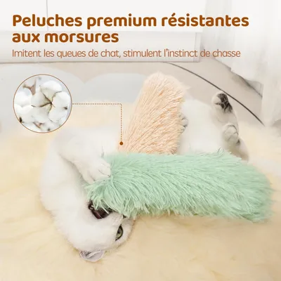 3 Jouets Herbe à Chat Interactifs avec Bruit – Chatons