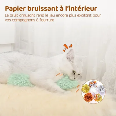 3 Jouets Herbe à Chat Interactifs avec Bruit – Chatons
