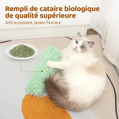 3 Jouets Herbe à Chat Interactifs avec Bruit – Chatons