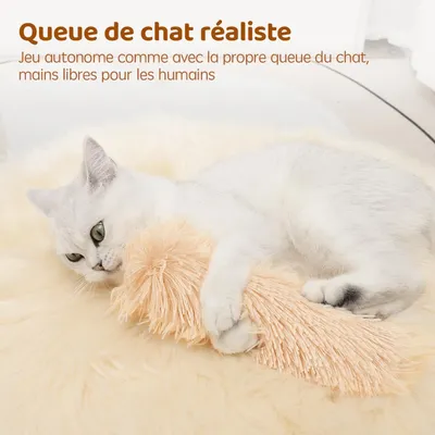 3 Jouets Herbe à Chat Interactifs avec Bruit – Chatons