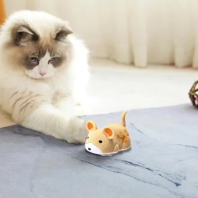 Jouet Électrique Souris Peluche Couineur - Pour Chatons & Chats Adultes