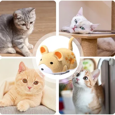 Jouet Électrique Souris Peluche Couineur - Pour Chatons & Chats Adultes