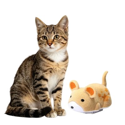 MCBOSON Jouet Électrique Souris Peluche