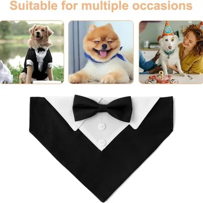 Smoking-Hundehalsband mit Fliege – verstellbar