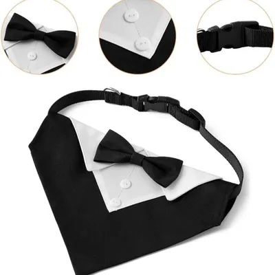 Smoking-Hundehalsband mit Fliege – verstellbar