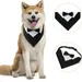 Smoking-Hundehalsband mit Fliege – verstellbar