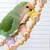 FurryFusion Échelle en corde pour perroquet