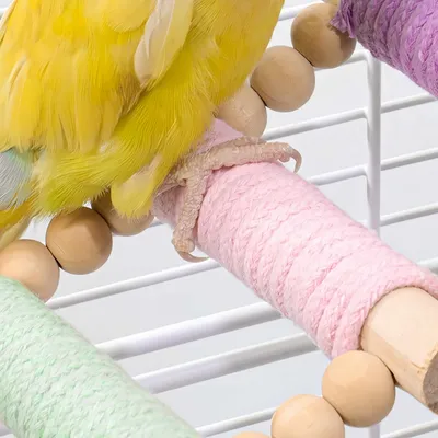 FurryFusion Échelle en corde pour perroquet