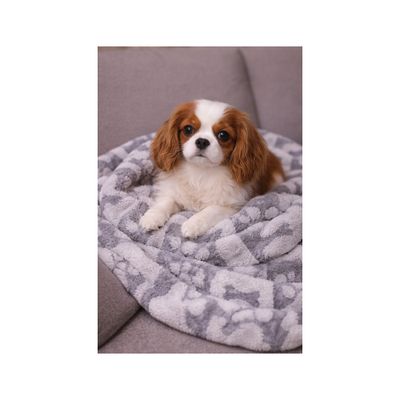 Mon Ami Luki - Plaid imprimé chien & chat