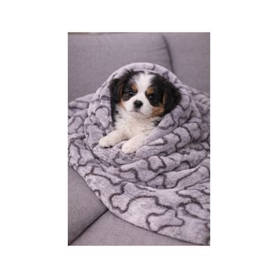 Mon Ami Luki - Plaid imprimé chien & chat