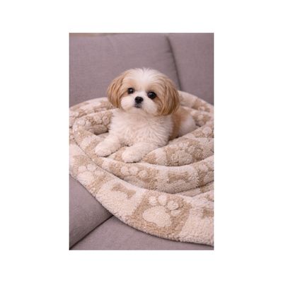 Mon Ami Luki - Plaid imprimé chien & chat