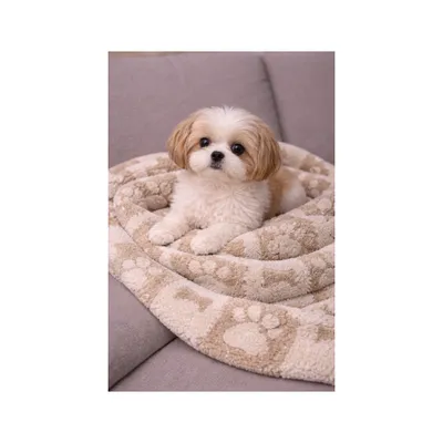Mon Ami Luki - Plaid imprimé chien & chat