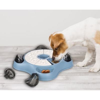 FLAMINGO - Entraîneur de cerveau pour chien - Sherlock