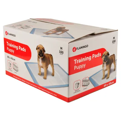100x Tapis Educateur pour Chiots Apprentissage Coussinet Dressage S/