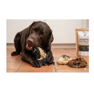 Friandises Nature Nez de mouton avec poils