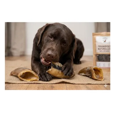 Lot de Friandises Nature Sabot de vache