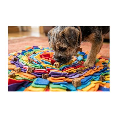 FLAMINGO - Friandises pour Chien - Petits blocs Saumon
