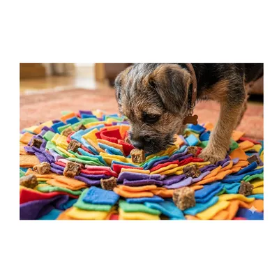 FLAMINGO - Friandises pour Chien - Petits blocs Saumon